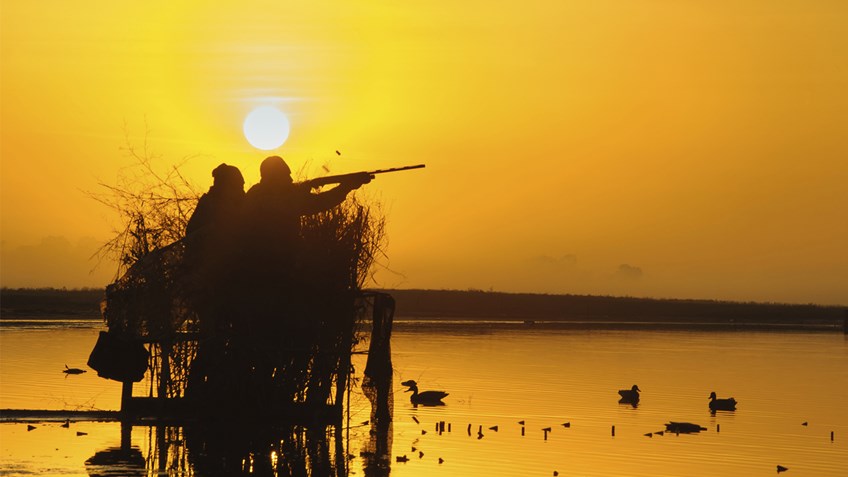 QUIZ: What Hunting Season Are You?