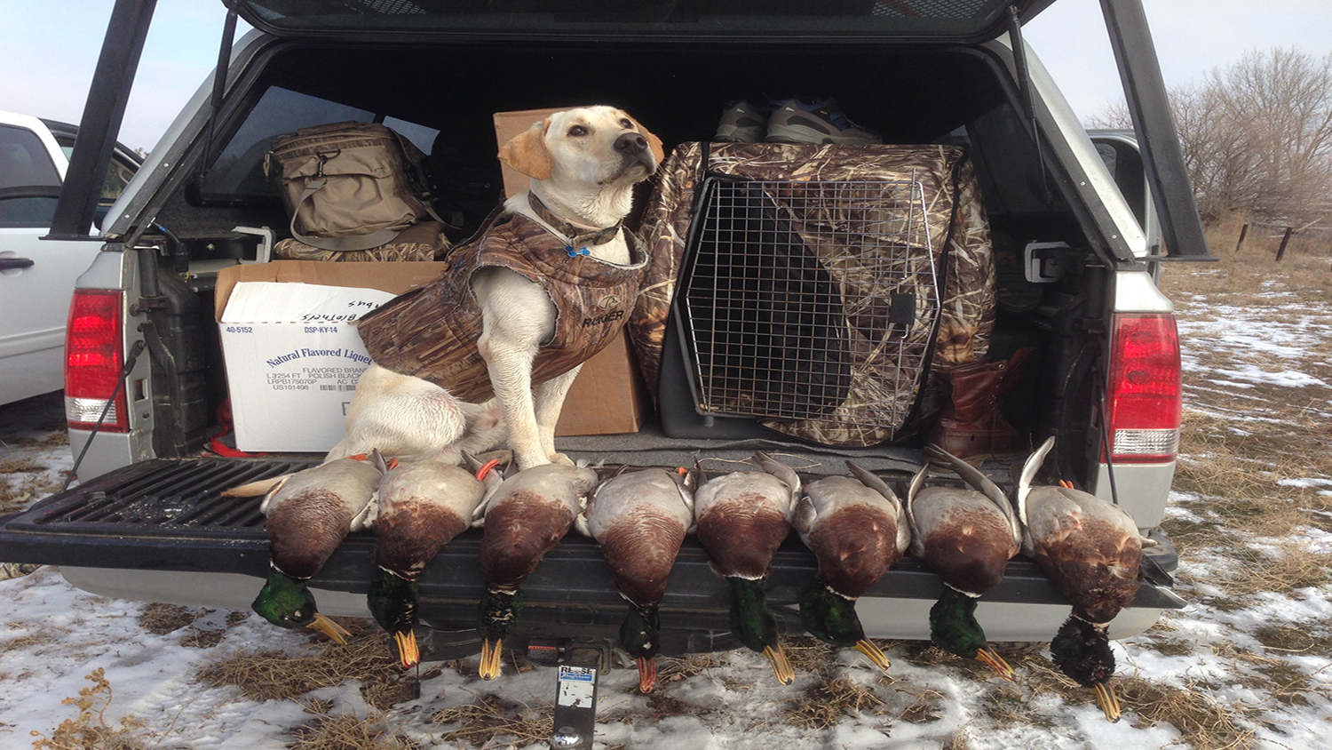 Is Your Four-Legged Friend Ready for Hunting Season?