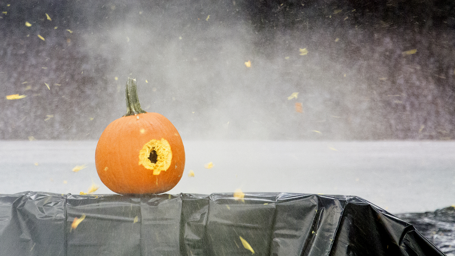 Video: Pumpkin Carving at NRA Headquarters