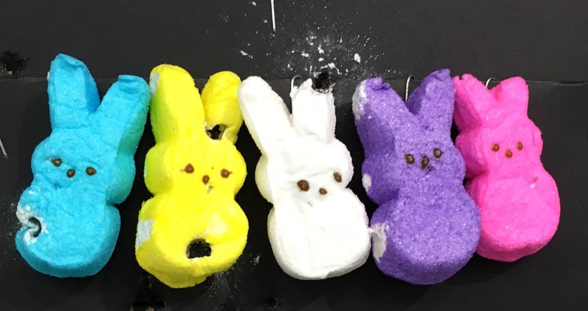 Peeps for Target Practice