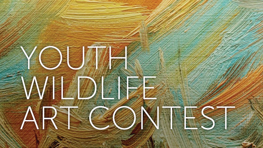 2016 Youth Wildlife Art Contest Now Accepting Entries