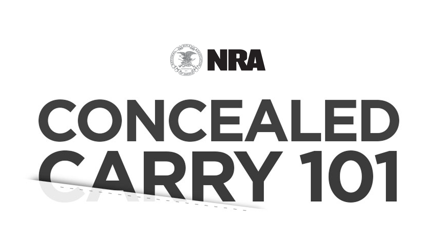 INFOGRAPHIC: Concealed Carry 101
