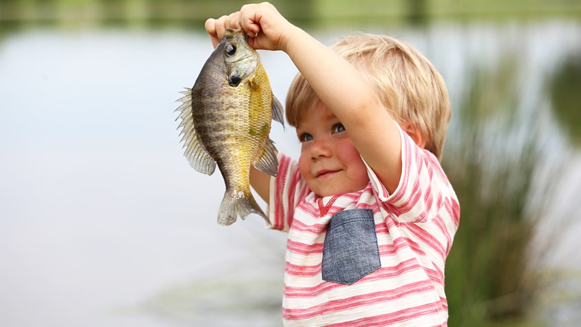 How Are You Celebrating National Hunting and Fishing Day?