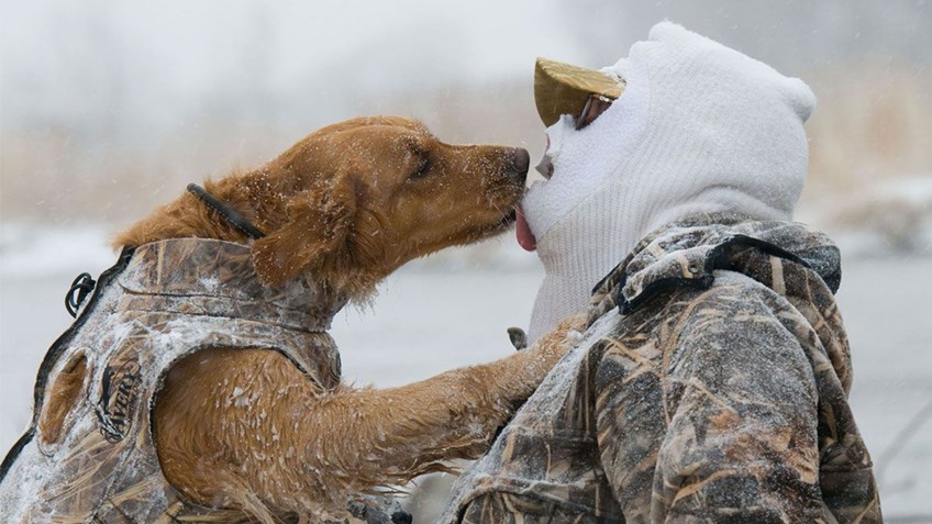 12 Pictures That Prove Your Dog is Ready for Hunting Season