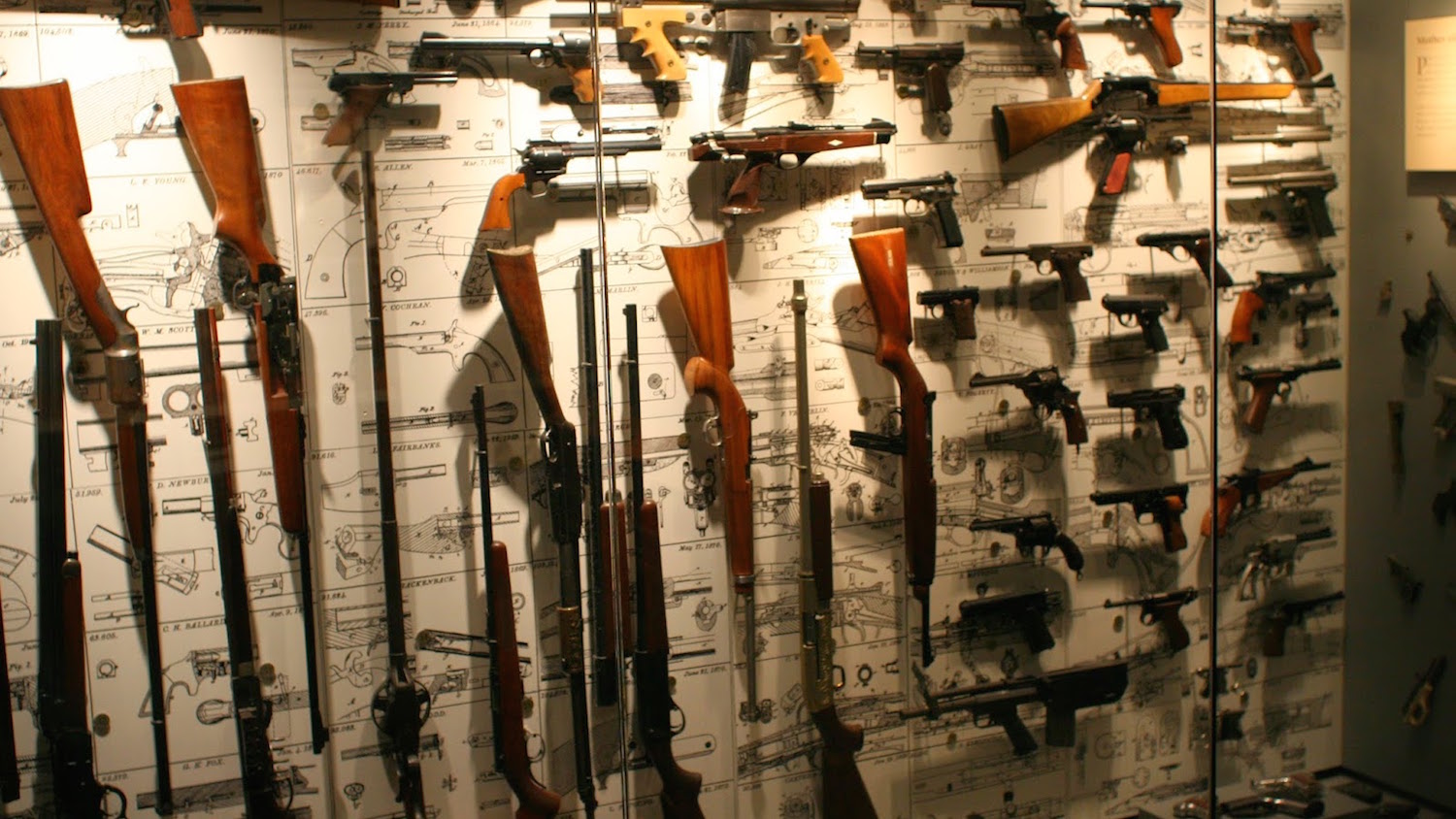 Gun Collecting: Introduction and Types of Collecting