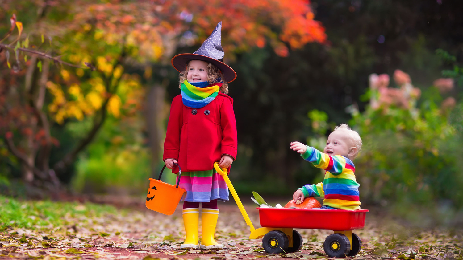 5 Tips For a Safe And Fun Halloween 