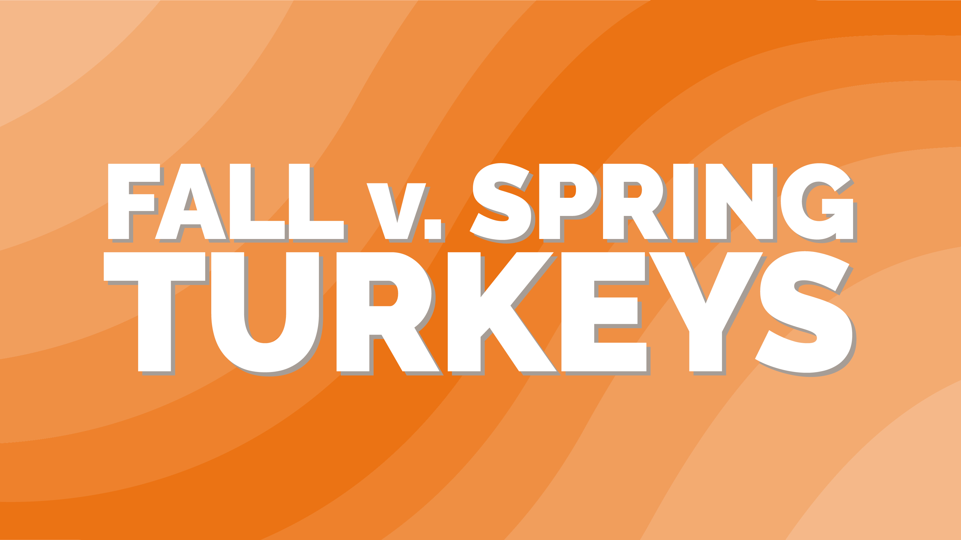 Fall vs. Spring Turkey 
