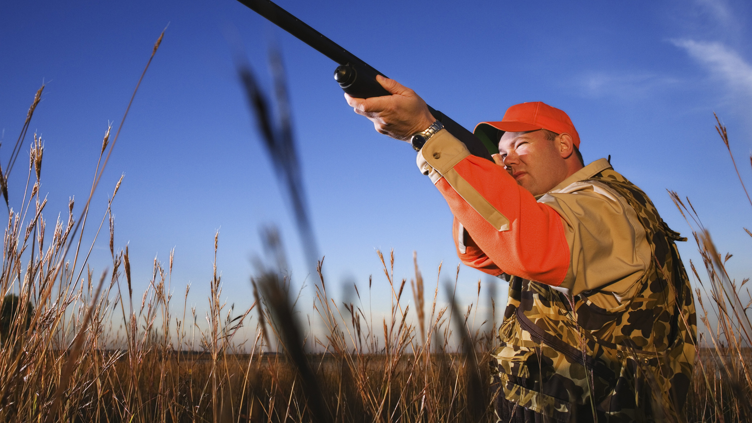 6 Shotguns for a Successful Upland Hunt