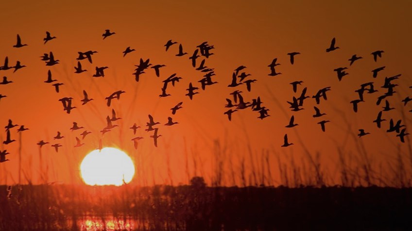The Sunshine State’s New Initiative to Preserve Timeless Hunting Traditions