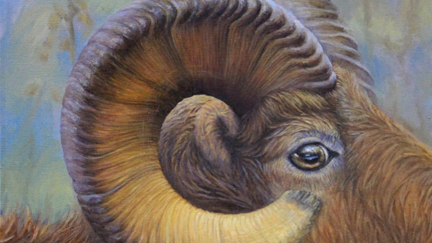 And the 2016 Youth Wildlife Art Contest Winners are...