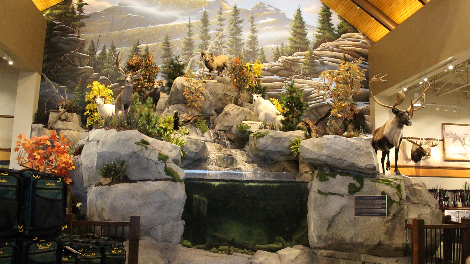 Cabela’s, Bringing The Outdoors To You