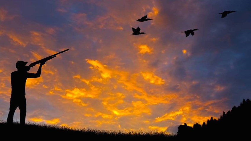 Experience The Destination Hunt Of A Lifetime This Fall With NRA Outdoors
