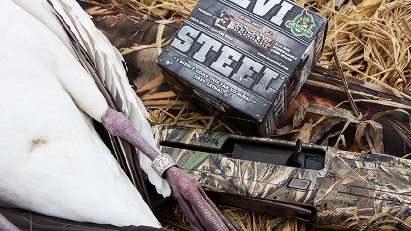 Guns and Gear for Snow Goose Hunting