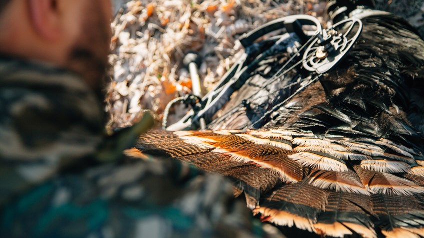5 Tips for Bowhunting Turkeys Without a Blind