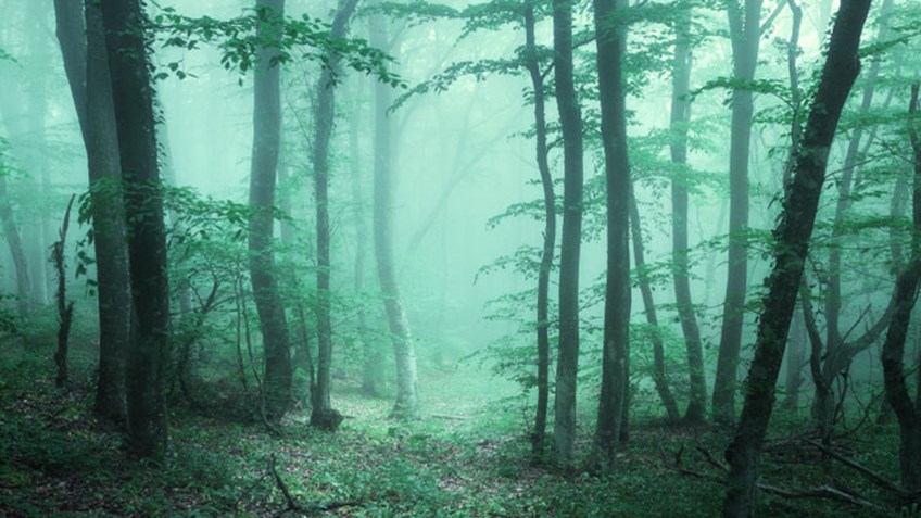 5 Scary Things People See Outdoors (& What to Do About Them)