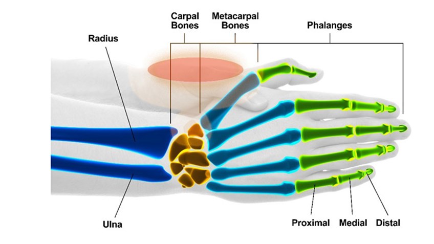 Arthritis Tips: How to Load & Unload Semi-Autos