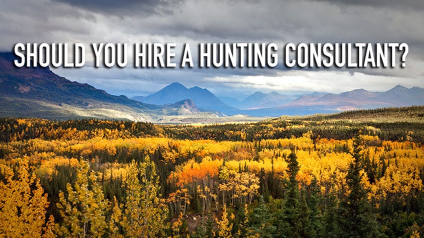 Should You Hire a Hunting Consultant?