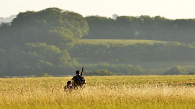 The Hill: Gun Control Is A Sure Way To Hurt Conservation Efforts