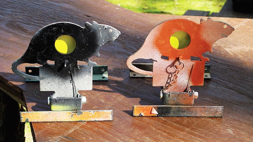 Steel Squirrels & Flying Pellets: The Magic of Air Rifle Field Target