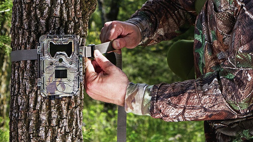 Trail Cam Dos and Don'ts