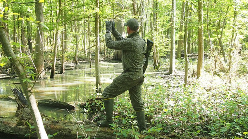 Swamp Turkeys, Cajun Style