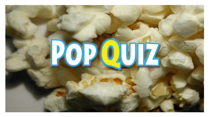 Fun Friday: Pop Quiz