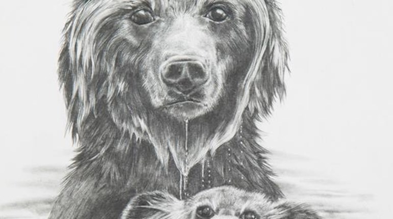 NRA Blog | The 2019 George Montgomery/NRA Youth Wildlife Art Contest is now open